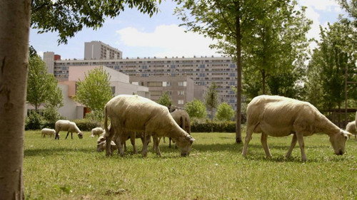 The World in Front Season 11 Episode 24 - Episode 24