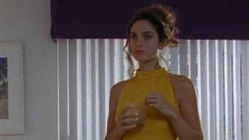 Silk Stalkings Season 3 Episode 2 - The Perfect Alibi