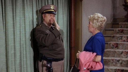 Petticoat Junction Season 3 Episode 22 - Jury at the Shady Rest