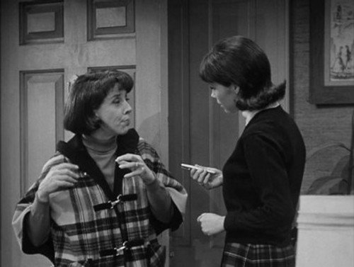 The Dick Van Dyke Show Season 5 Episode 30 - Long Night's Journey into Day
