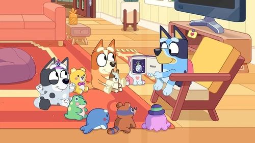 Bluey Season 2 Episode 30 - Library