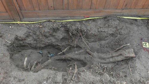 Buried In The Backyard Season 1 Episode 6 - Murder House