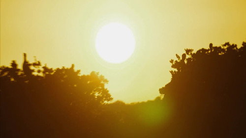 Seasons of the Wild Season 1 Episode 2 - Episode 2