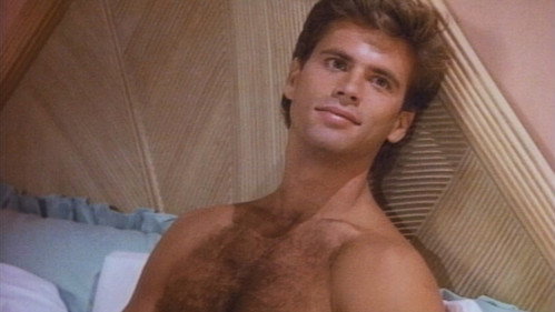 Falcon Crest Season 6 Episode 8 - Nepotism