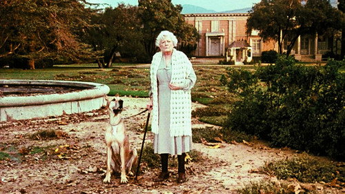 The Waltons Season 6 Episode 18 - The Family Tree