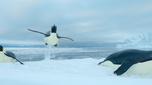Our Oceans Season 1 Episode 5 - Southern Ocean