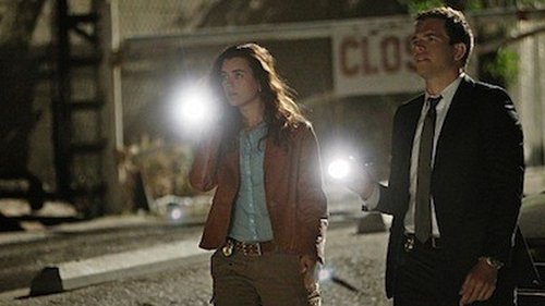 NCIS Season 7 Episode 22 - Borderland
