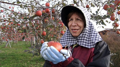 Where We Call Home Season 1 Episode 24 - American Taste, Japanese Apples