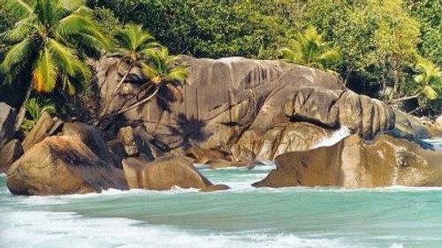 Natural World Season 19 Episode 8 - Seychelles: Jewels of a Lost Continent