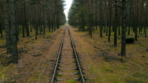What on Earth? Season 7 Episode 1 - Nazi Doomsday Forest