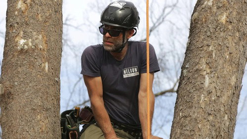 Treehouse Masters Season 9 Episode 6 - Jeffersonian Honeymoon Suite