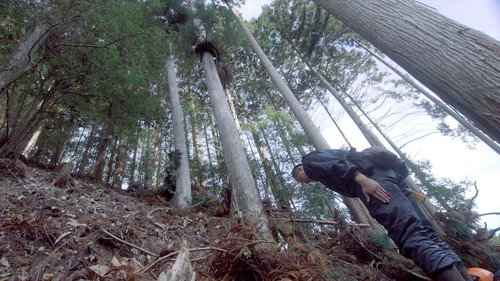 Core Kyoto Season 9 Episode 2 - The Forests of Keihoku: Nature's Blessings Sustain the Ancient Capital