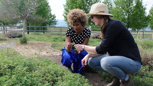 De par chez nous Season 4 Episode 5 - Episode 5