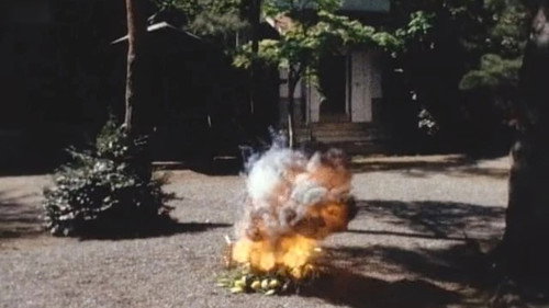 6 Targets!! The Flower Which Explodes still