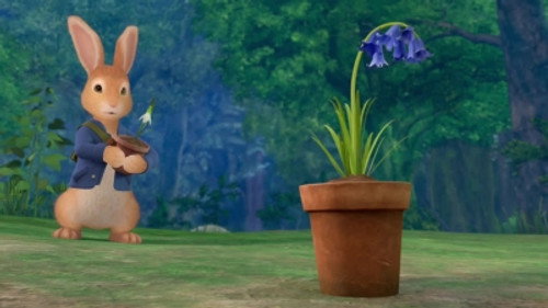 The Tale of the First Bluebell still