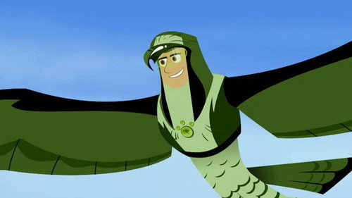 Wild Kratts Season 1 Episode 27 - Raptor Round-Up