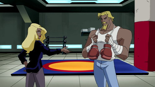 Justice League Unlimited Season 2 Episode 1 - The Cat and the Canary
