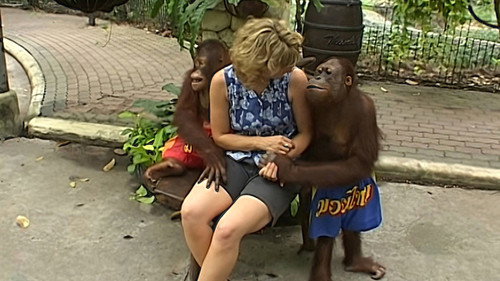 Monkey Business Season 6 Episode 10 - Episode 10