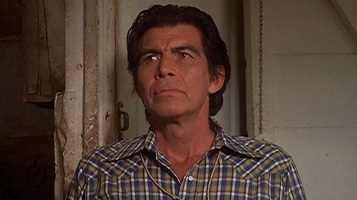 The Incredible Hulk Season 2 Episode 4 - Rainbow's End
