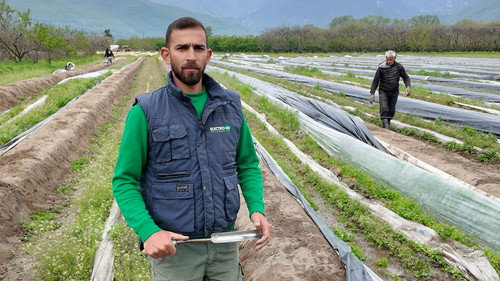 Greek Asparagus Challenges the Competition still