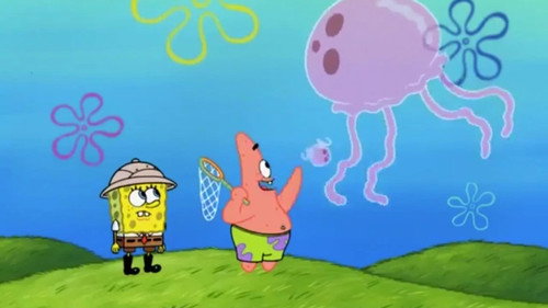 Jellyfishing Safety Tips still