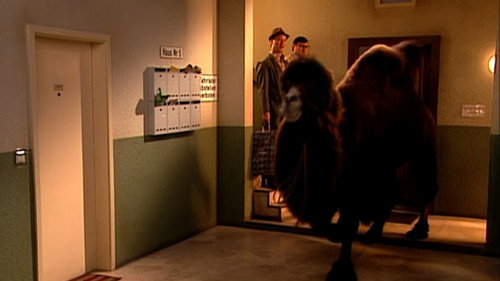 Hausmeister Krause – Ordnung muss sein Season 2 Episode 15 - Episode 15