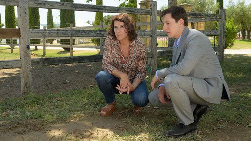 Crimes parfaits Season 3 Episode 11 - Episode 11