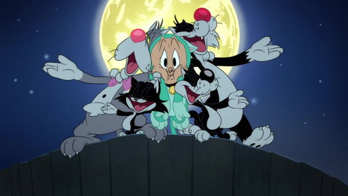 Kitty Krashers still