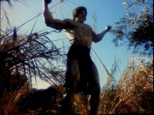 The Incredible Hulk Season 4 Episode 4 - Dark Side