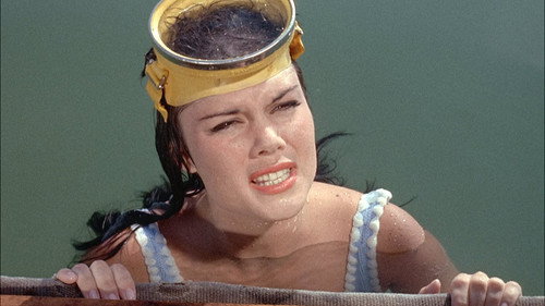 Flipper Season 1 Episode 30 - Flipper's Monster