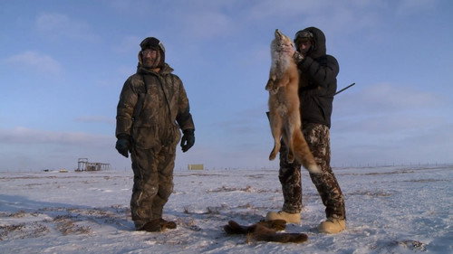 MeatEater Season 5 Episode 11 - The Coldest Hunt: Nunivak Island Muskox