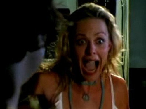 Viva La Bam Season 5 Episode 8 - Finlandia