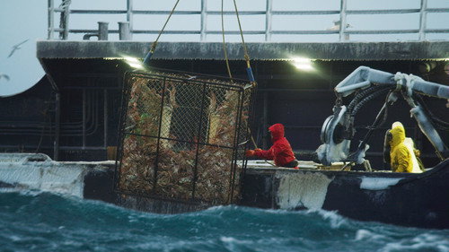 Deadliest Catch Season 15 Episode 8 - Tough Inheritance