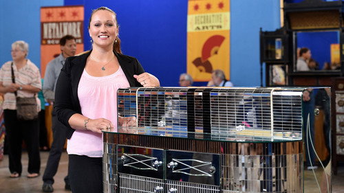 Antiques Roadshow Season 19 Episode 30 - Chicago, Hour 2