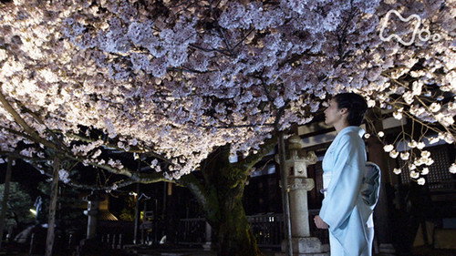 The Secret Lives of Kyoto Folk Season 1 Episode 5 - Episode 5