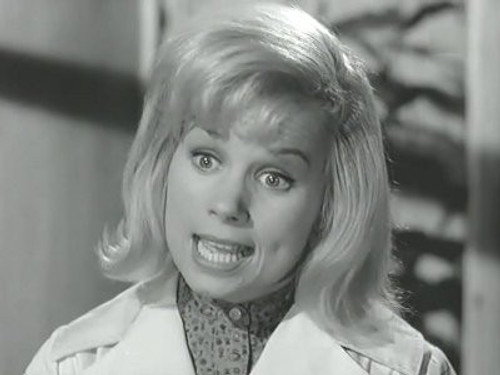 Perry Mason Season 7 Episode 16 - The Case of the Ice-Cold Hands