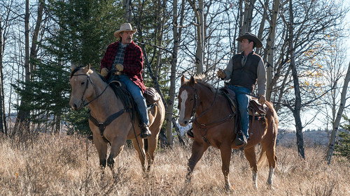 Heartland Season 11 Episode 16 - A Place to Call Home