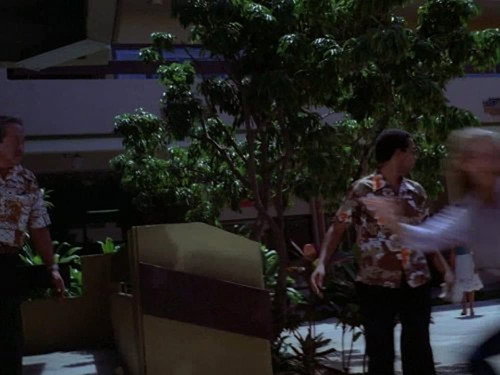 Hawaii Five-O Season 12 Episode 14 - For Old Times Sake