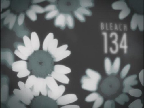Bleach Season 1 Episode 134 - The Beautiful Patissier, Yumichika!