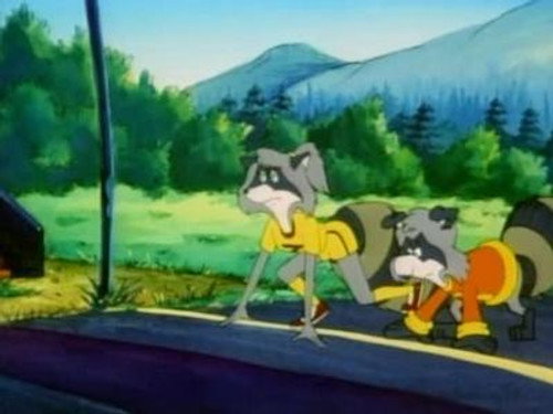 The Raccoons Season 5 Episode 13 - Go for Gold!