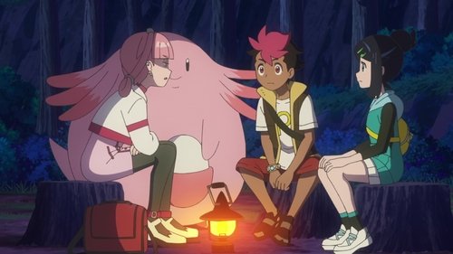 The Pokémon Center Lady still