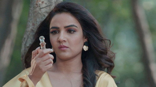 Naagin Season 4 Episode 10 - Will Nayantara's Plan Bear Fruit?