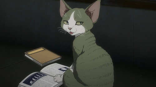 The Feline D-REX from Another World still