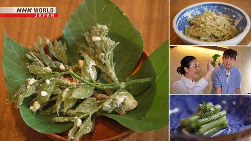 Dining with the Chef Season 15 Episode 9 - Master Chef's Class: Chef Kuwakino's Sansai Tempura