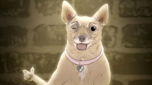 Animals. Season 2 Episode 10 - Episode Twenty: Dog.