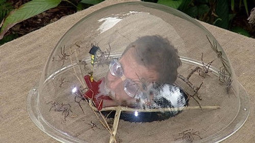 I'm a Celebrity...Get Me Out of Here! Season 7 Episode 19 - Tabletop Terror
