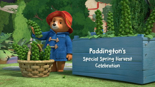 Paddington’s Special Spring Harvest Celebration still