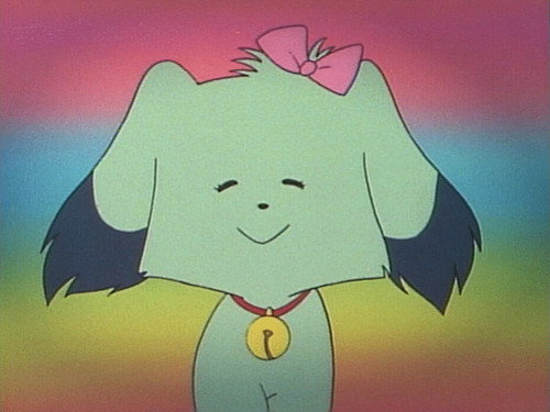Look over here! Beautiful dog Gyaru still