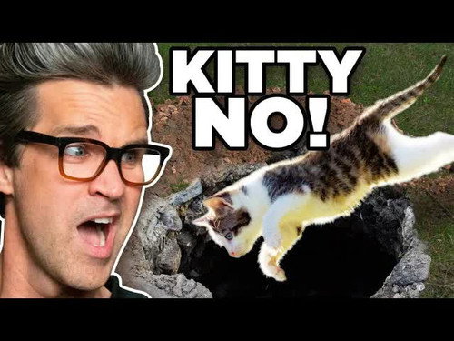 Animals Who Tried But Failed (Guessing Game) still