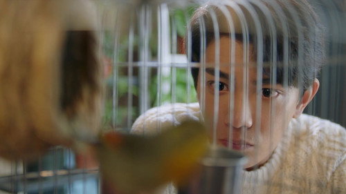 Intense Love Season 1 Episode 11 - Episode 11